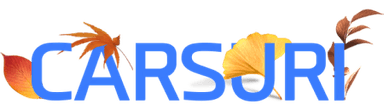 카수리